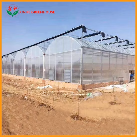 安定構造フィルム温室ガーデンハウス