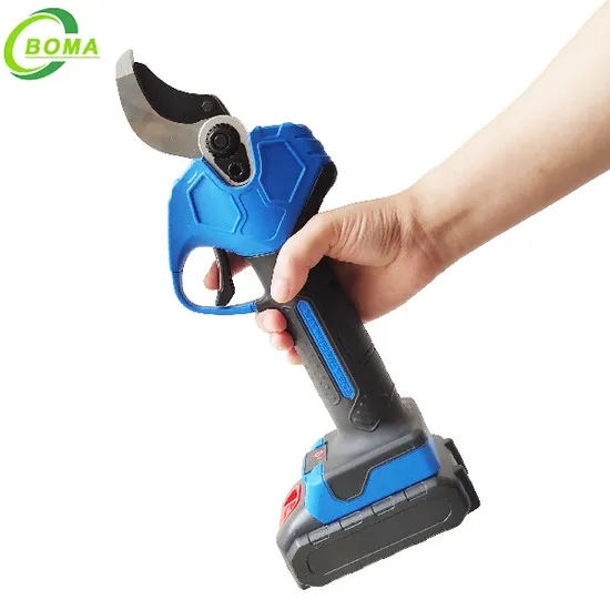 充電式調整可能なリチウム電池アンチ