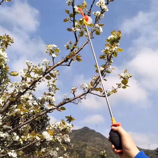 手動果樹受粉ツール野菜受粉装置